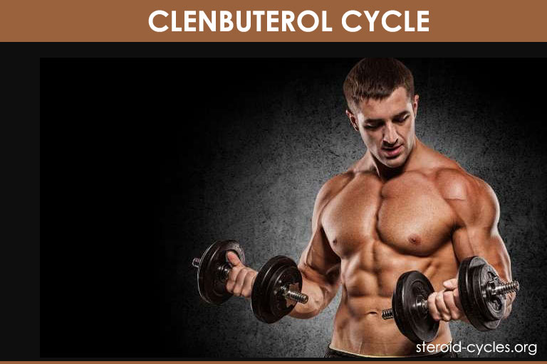 Clenbuterol Cycle: Clen Cycle Results and Effects for Women [2020]