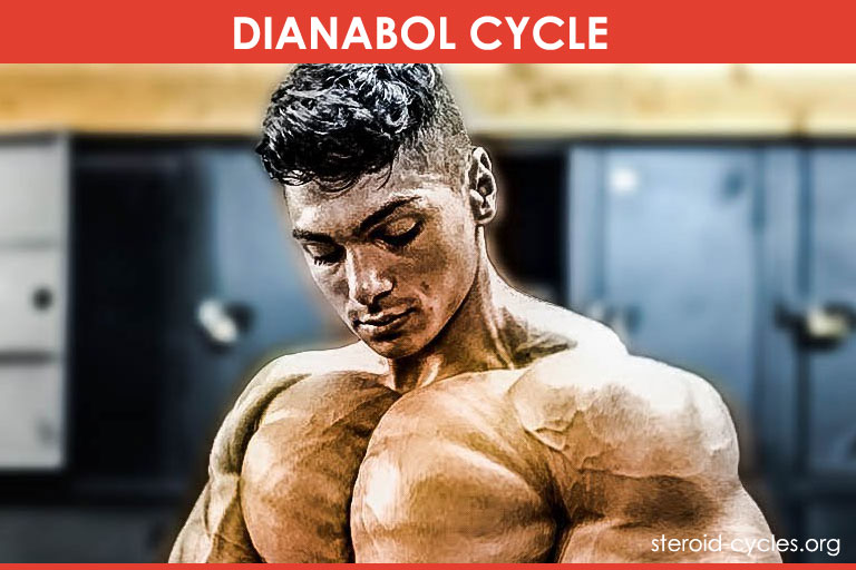 Dianabol Cycle: Dbol Steroids for Bulking Muscle and Mass [2020]