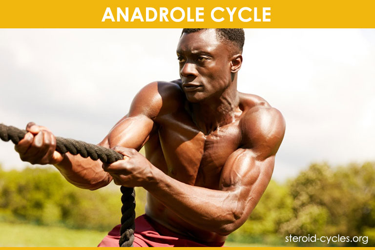 Anadrol Cycle: Legal Oxandrolone Steroids for Bulking Cycle [2020]