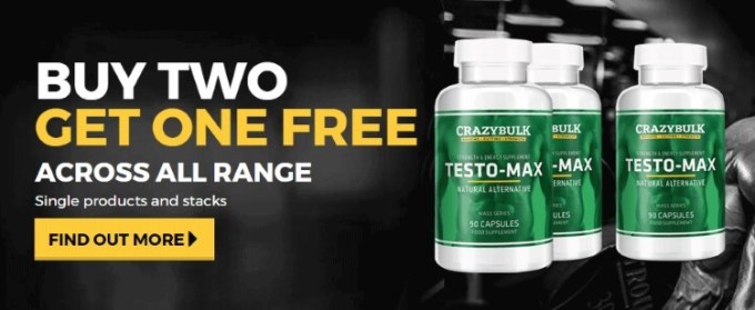 Testosterone cycle supplements