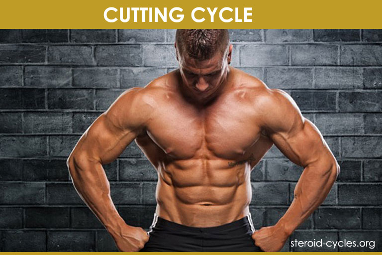Cutting Cycle Stack: Best Legal Steroids for Cutting and Lean Body [2020]