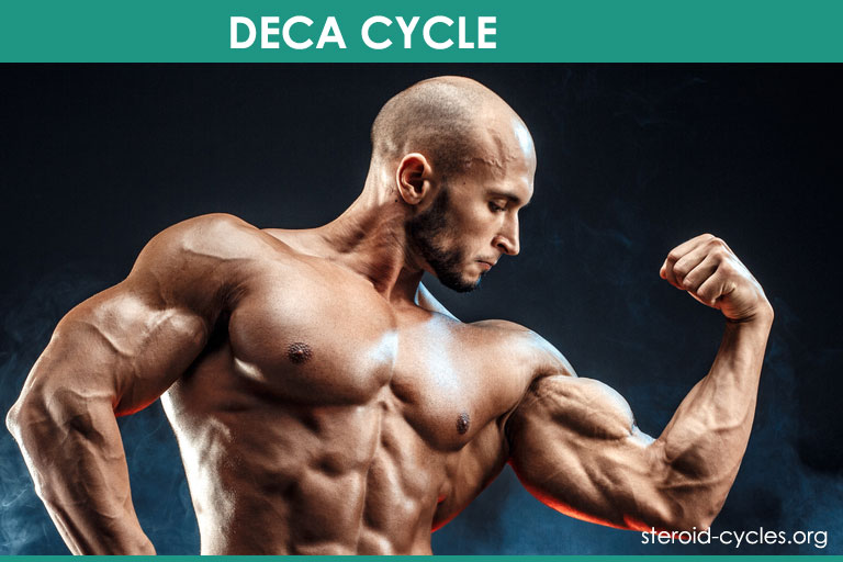Deca Cycle: Deca-Durabolin Steroids Cycle for Bulking and Cutting [2020]