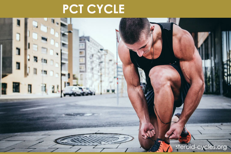 PCT Cycle: Post Cycle Therapy Supplements Review and Results [2020]