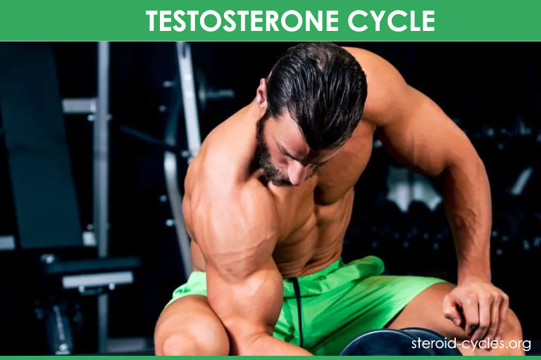 Testosterone Cycle: Test Enanthate Cycle, Stack and Results [2020]